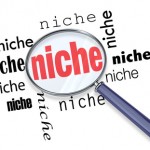 niche-website-marketing learning about making money online