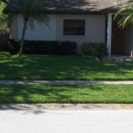 my front yard in May 2012