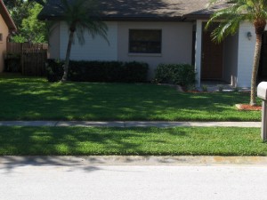 my front yard in May 2012